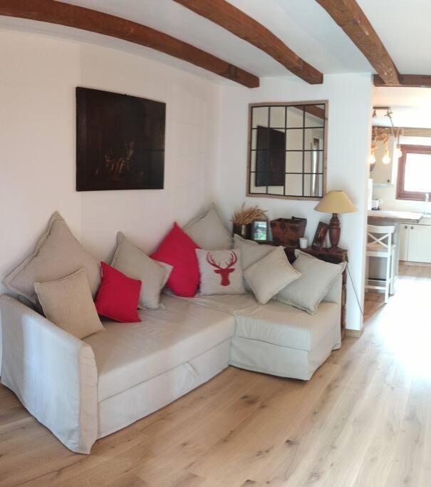 Cozy Apartment In The Heart Of The Alps Château-d'Oex Eksteriør billede