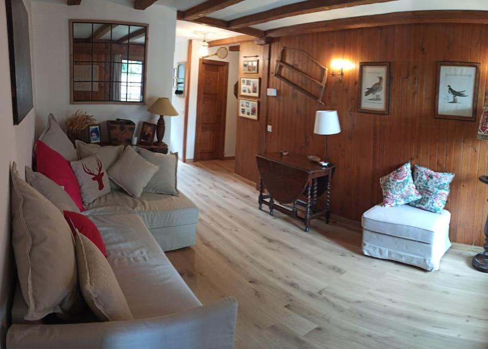 Cozy Apartment In The Heart Of The Alps Château-d'Oex Eksteriør billede