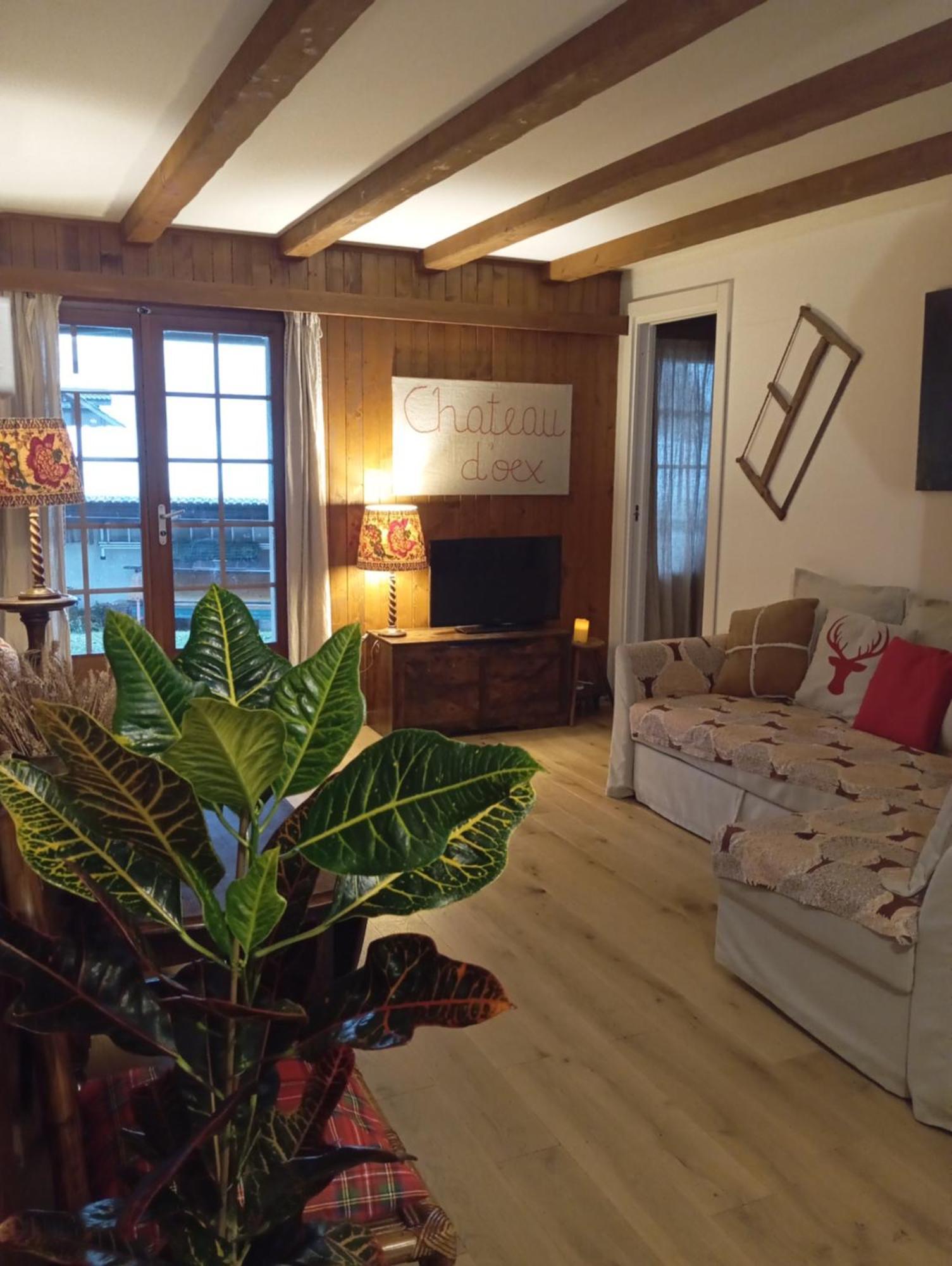 Cozy Apartment In The Heart Of The Alps Château-d'Oex Eksteriør billede