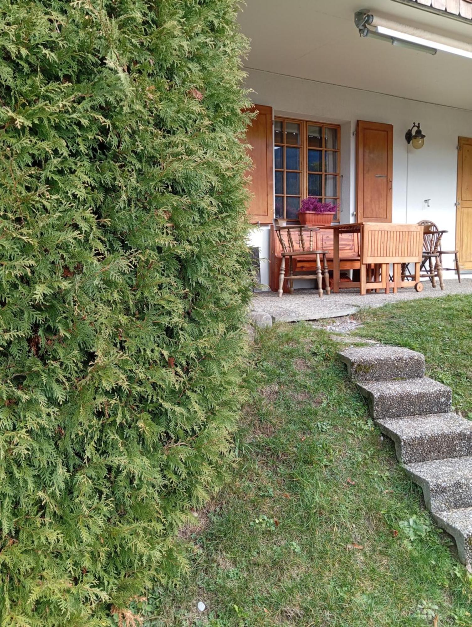Cozy Apartment In The Heart Of The Alps Château-d'Oex Eksteriør billede