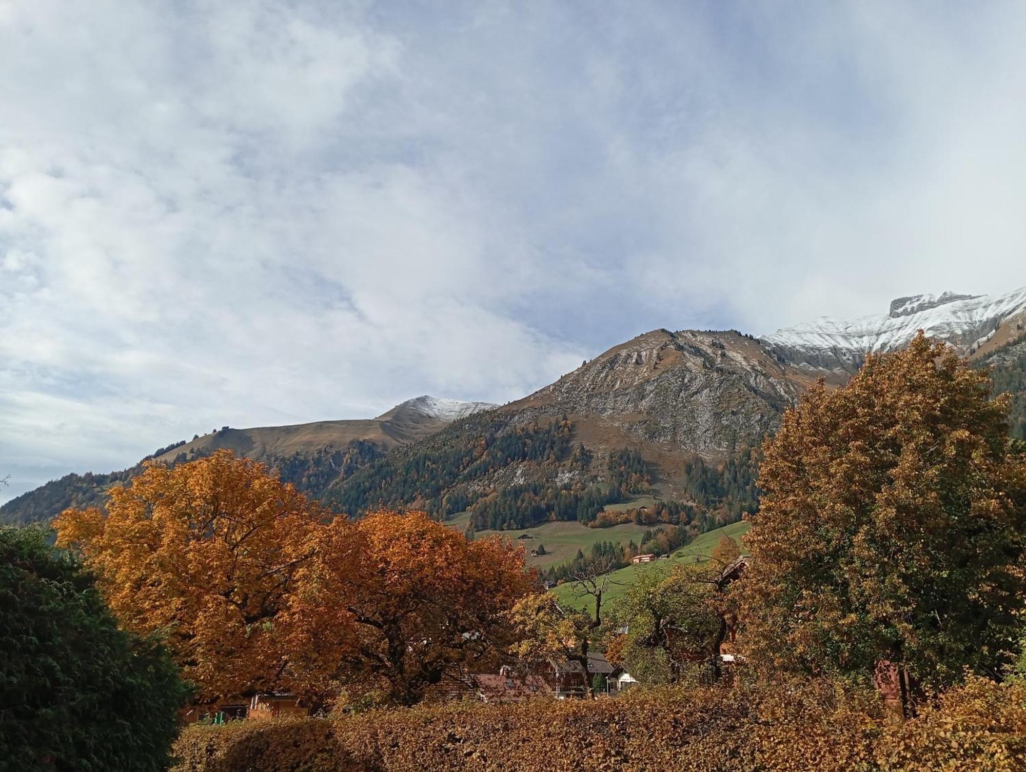 Cozy Apartment In The Heart Of The Alps Château-d'Oex Værelse billede